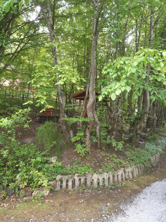 Vila Szoke 소바타 외부 사진